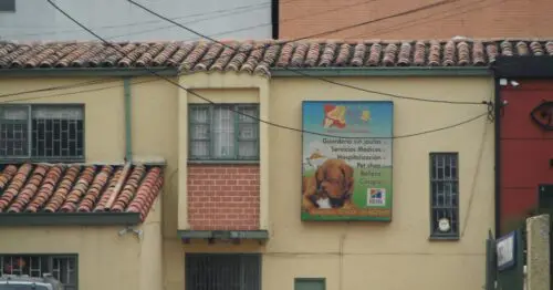 CENTRO VETERINARIO BOGOTA PET CARE BOGOTÁ CENTRO VETERINARIO BOGOTA PET CARE BOGOTÁ